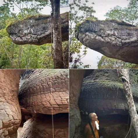 naka cave thailand|This Giant Snake Rock in Thailand Is a Fascination of。